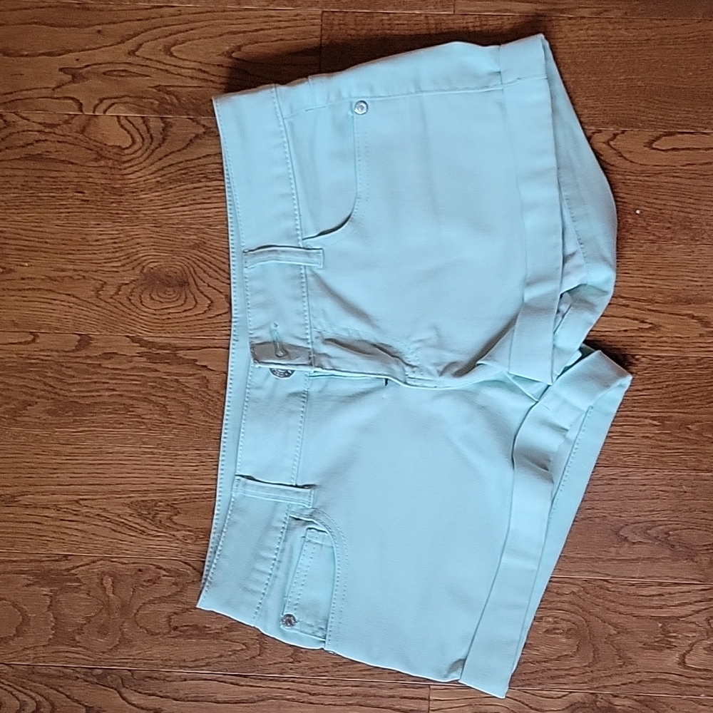 Celebrity.Pink Mint Green Shorts size 5
